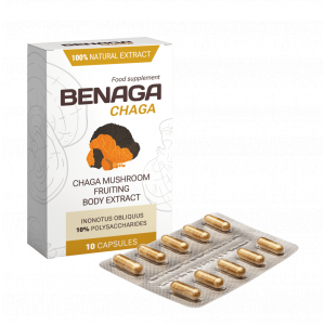 Benaga Chaga